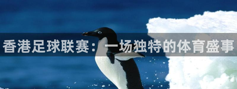 香港足球联赛：一场独特的体育盛事