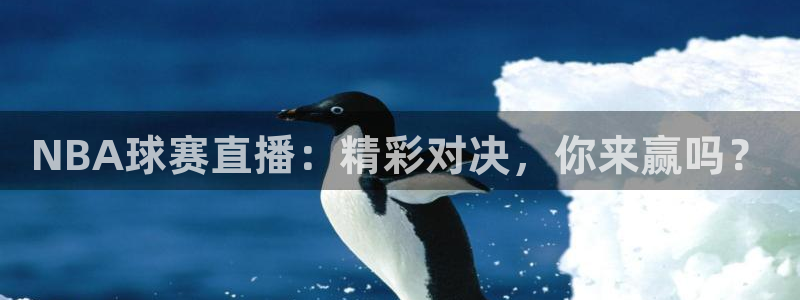 mk体育官网：NBA球赛直播：精彩对决，你来赢吗？