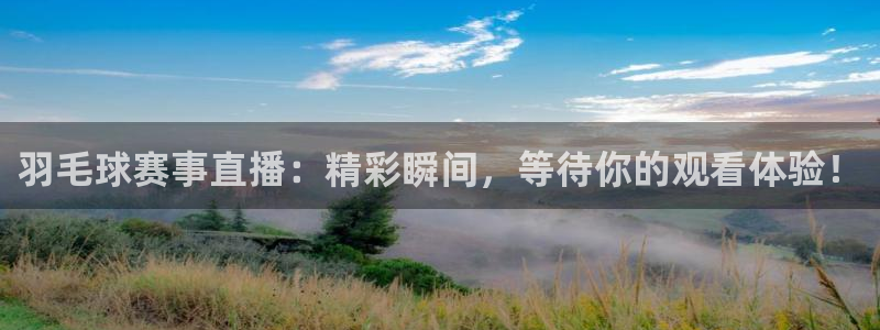 mk体育平台登陆：羽毛球赛事直播：精彩瞬间，等待你的观看体验