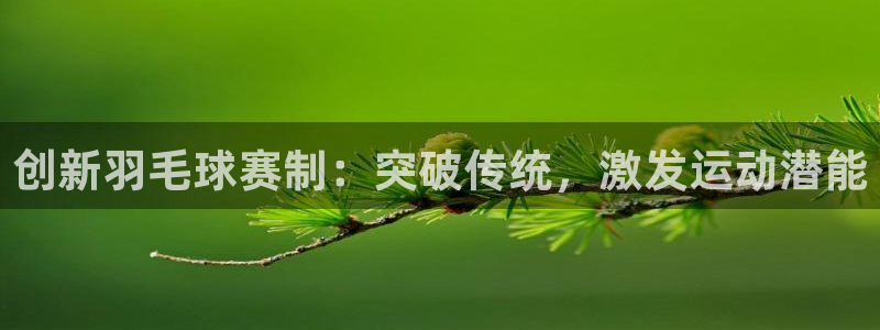 mk体育官网登录入口网址是多少：创新羽毛球赛制：突破传统，激
