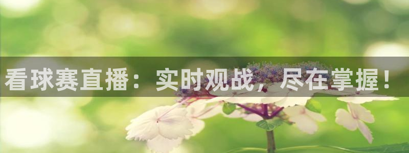 mk体育在线官网：看球赛直播：实时观战，尽在掌握！